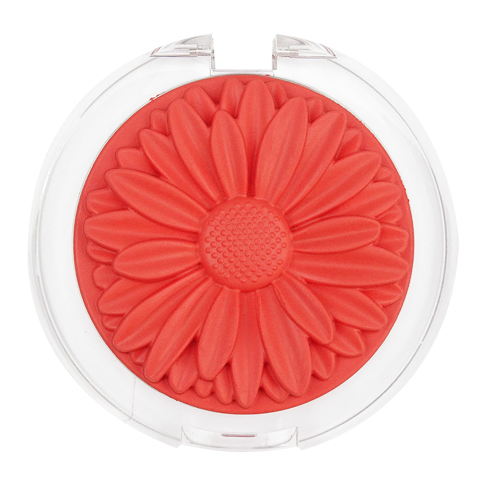 Blush Margaripétala - Maria Margarida
