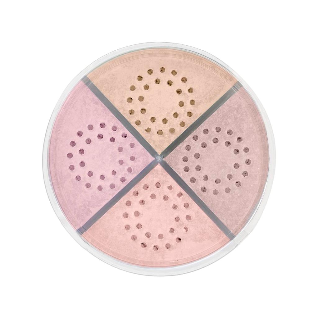 Pó Solto Silk System - Linha Wonder - Ruby Rose
